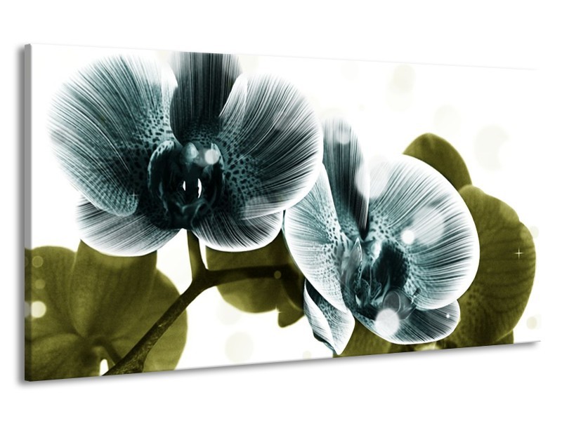 Canvas schilderij Orchidee | Blauw, Groen | 190x100cm 1Luik