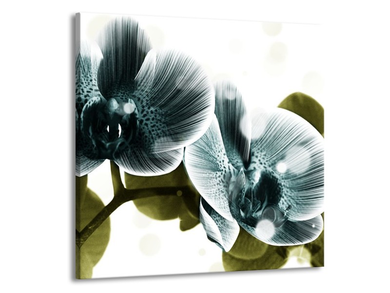 Canvas schilderij Orchidee | Blauw, Groen | 50x50cm 1Luik