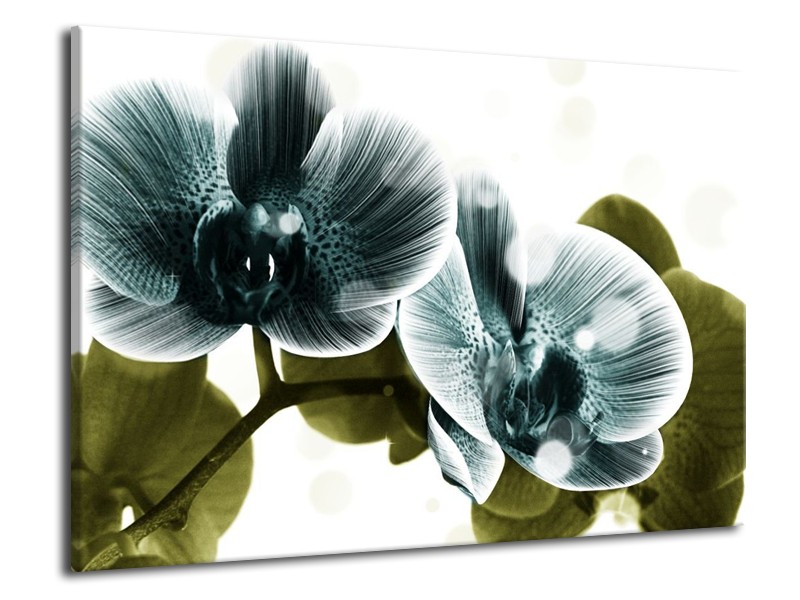 Canvas schilderij Orchidee | Blauw, Groen | 70x50cm 1Luik
