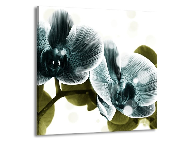 Canvas schilderij Orchidee | Blauw, Groen | 70x70cm 1Luik
