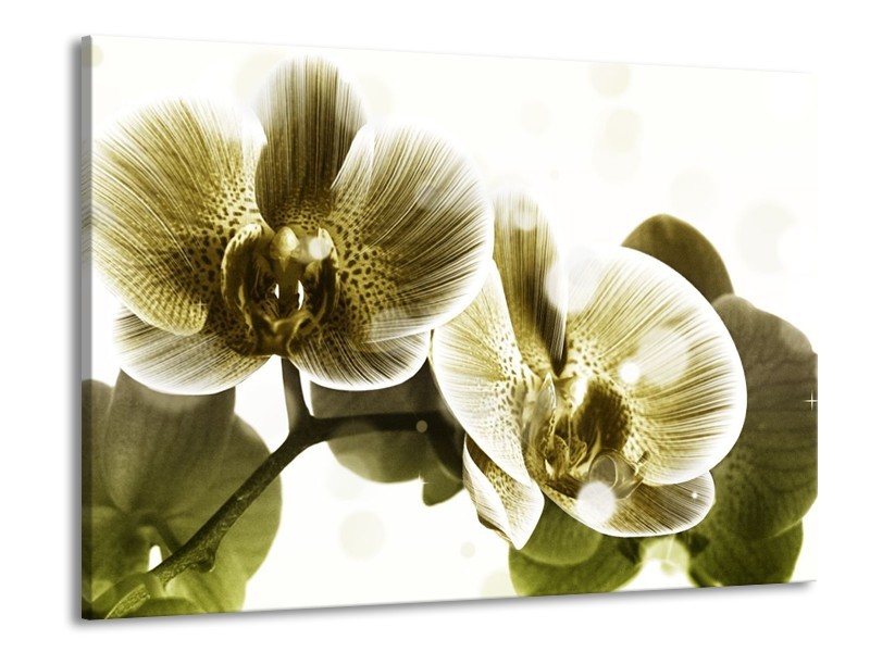 Canvas schilderij Orchidee | Grijs, Wit | 100x70cm 1Luik