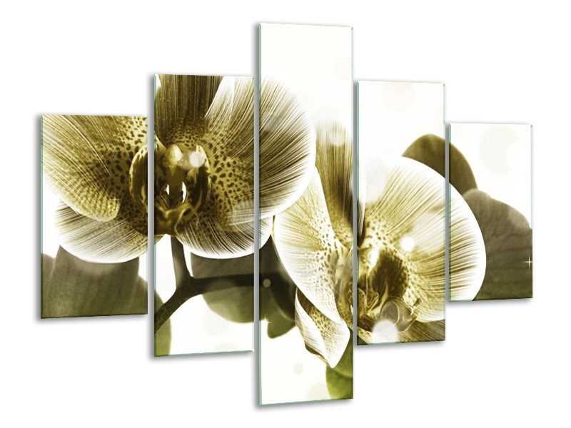 Canvas schilderij Orchidee | Grijs, Wit | 100x70cm 5Luik