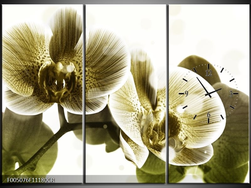 Klok schilderij Orchidee | Grijs, Wit | 111x80cm 3Luik