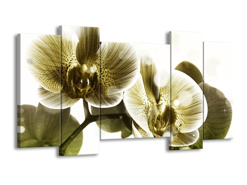 Canvas schilderij Orchidee | Grijs, Wit | 120x65 5Luik