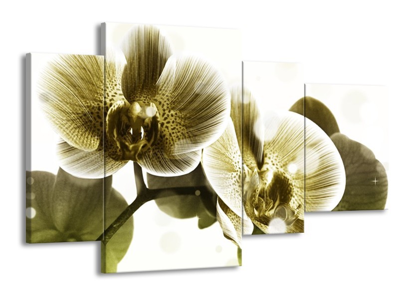 Canvas schilderij Orchidee | Grijs, Wit | 120x75cm 4Luik