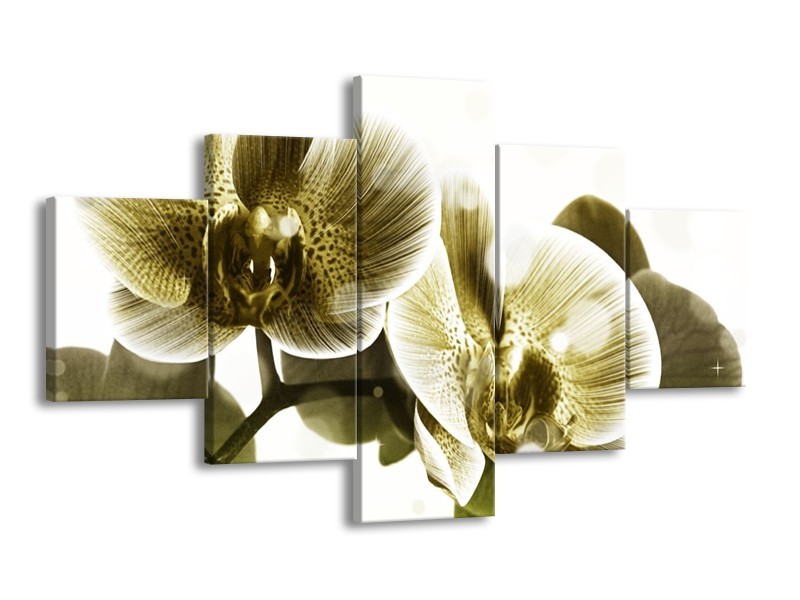 Canvas schilderij Orchidee | Grijs, Wit | 125x70cm 5Luik