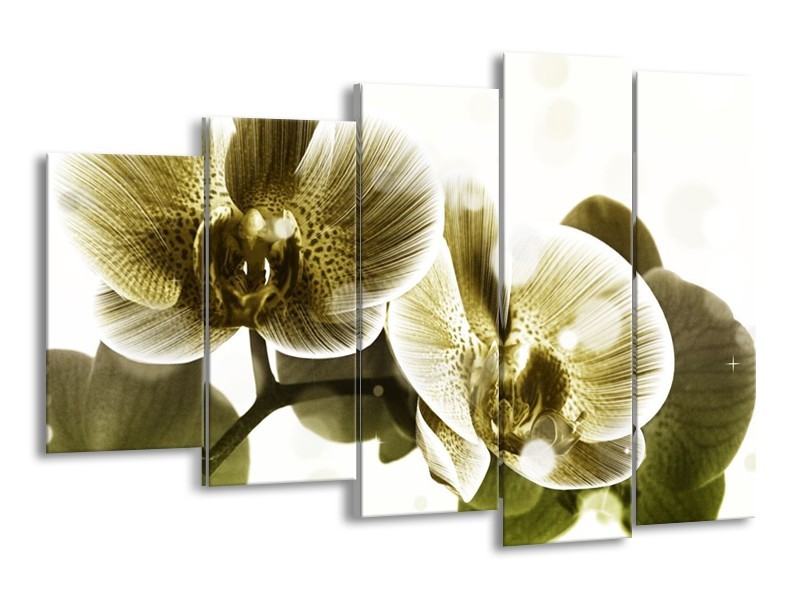 Canvas schilderij Orchidee | Grijs, Wit | 150x100cm 5Luik