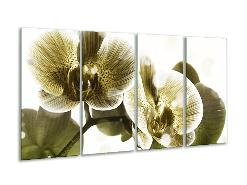 Canvas schilderij Orchidee | Grijs, Wit | 160x80cm 4Luik