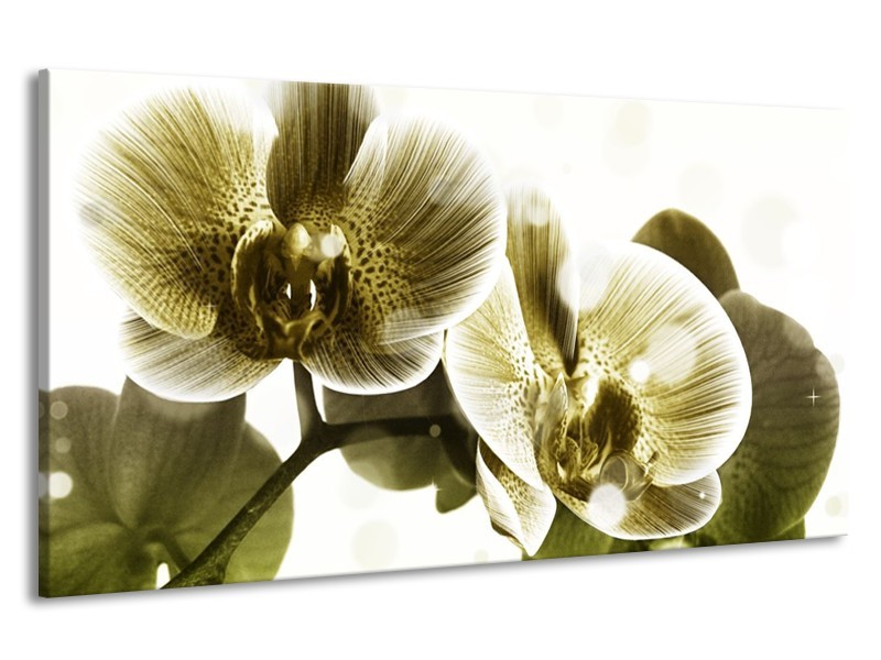 Canvas schilderij Orchidee | Grijs, Wit | 190x100cm 1Luik