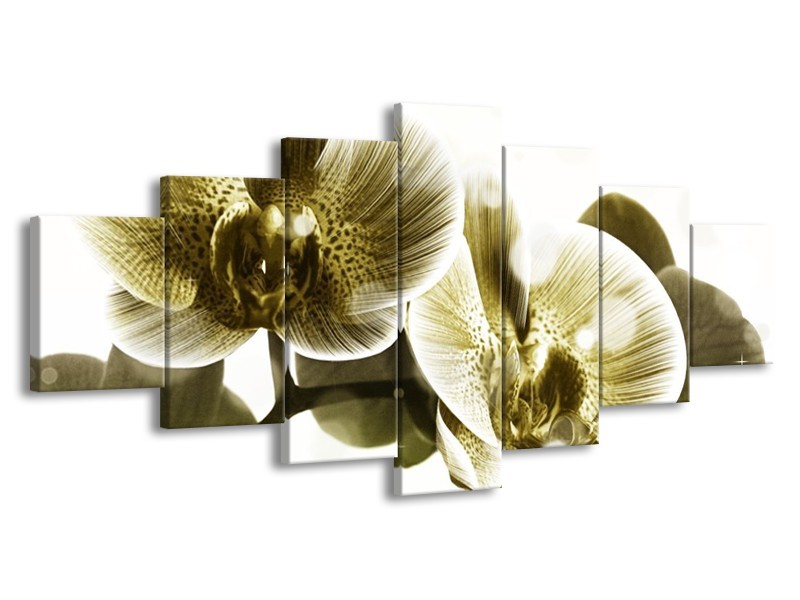 Canvas schilderij Orchidee | Grijs, Wit | 210x100cm 7Luik