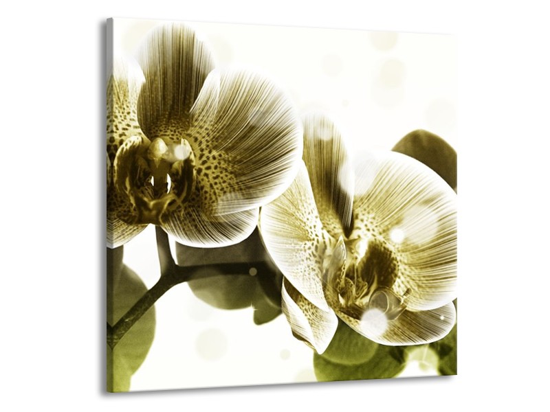 Canvas schilderij Orchidee | Grijs, Wit | 50x50cm 1Luik