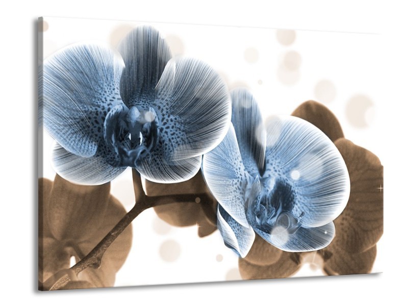 Canvas schilderij Orchidee | Blauw, Grijs | 100x70cm 1Luik