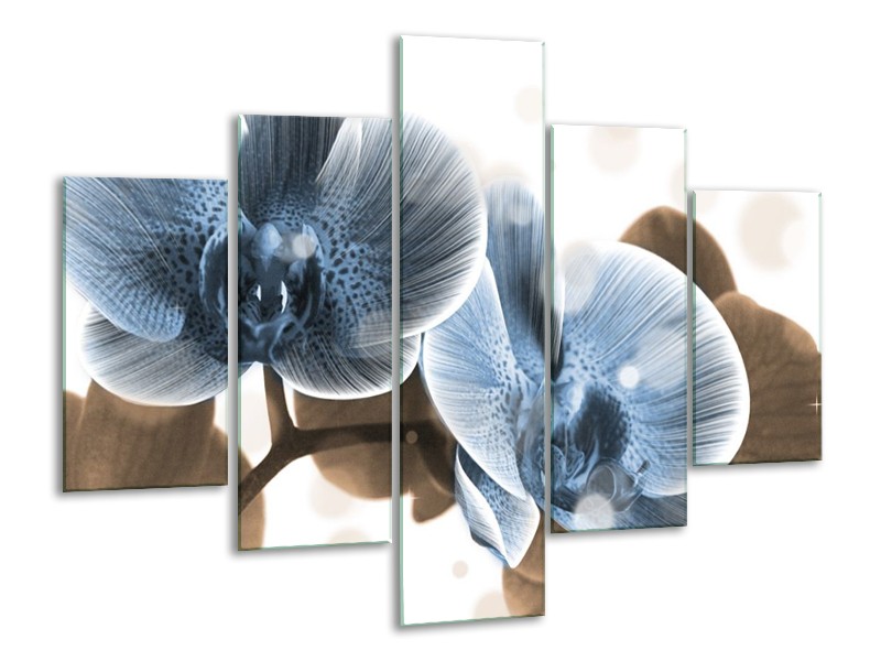 Canvas schilderij Orchidee | Blauw, Grijs | 100x70cm 5Luik