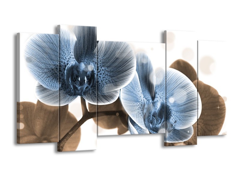 Canvas schilderij Orchidee | Blauw, Grijs | 120x65 5Luik