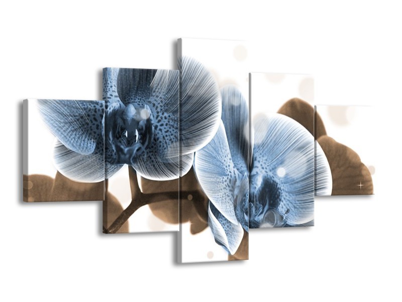 Canvas schilderij Orchidee | Blauw, Grijs | 125x70cm 5Luik