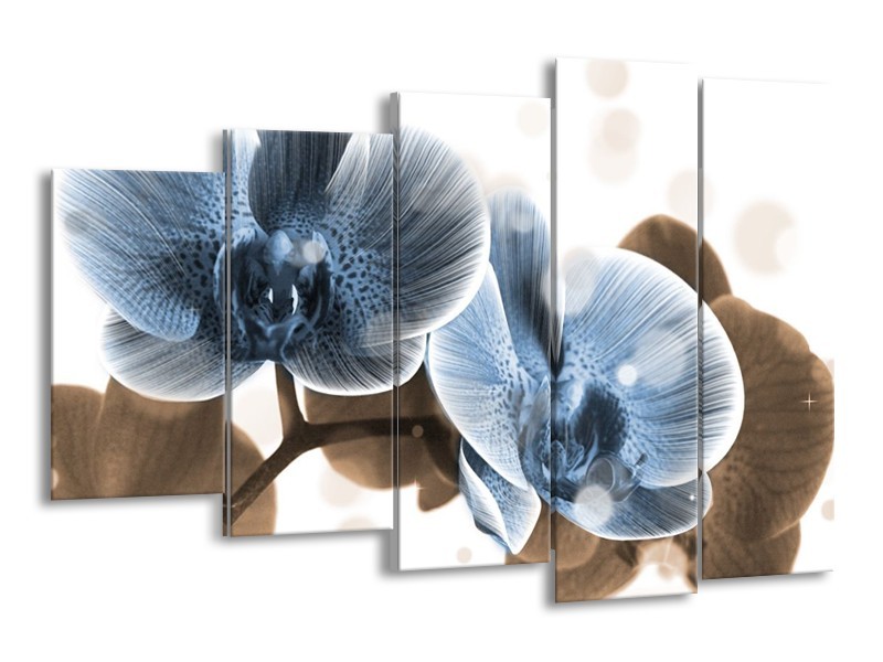 Canvas schilderij Orchidee | Blauw, Grijs | 150x100cm 5Luik