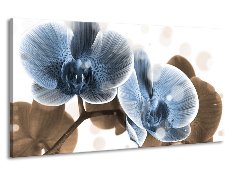 Canvas schilderij Orchidee | Blauw, Grijs | 190x100cm 1Luik