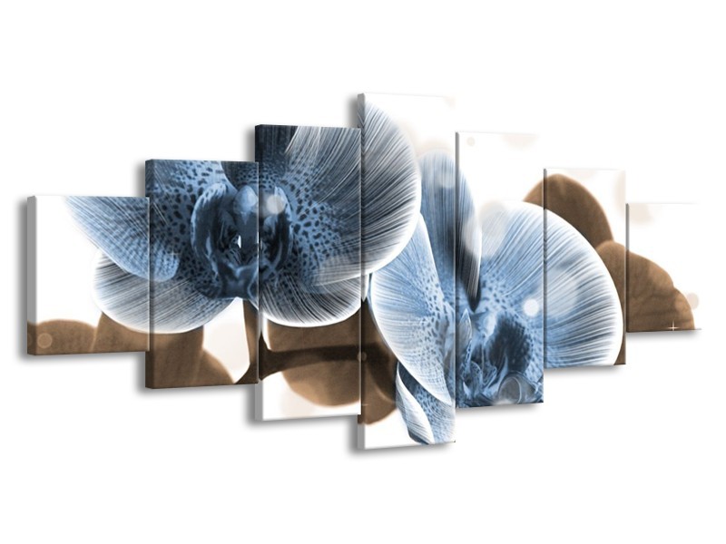 Canvas schilderij Orchidee | Blauw, Grijs | 210x100cm 7Luik