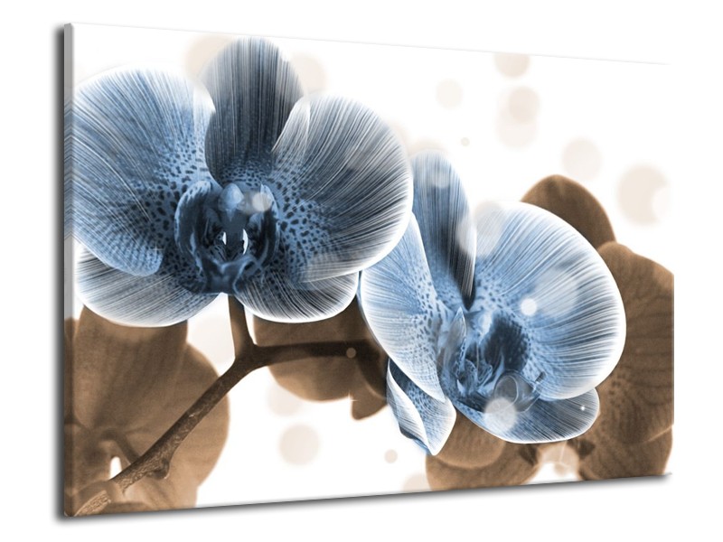 Canvas schilderij Orchidee | Blauw, Grijs | 70x50cm 1Luik