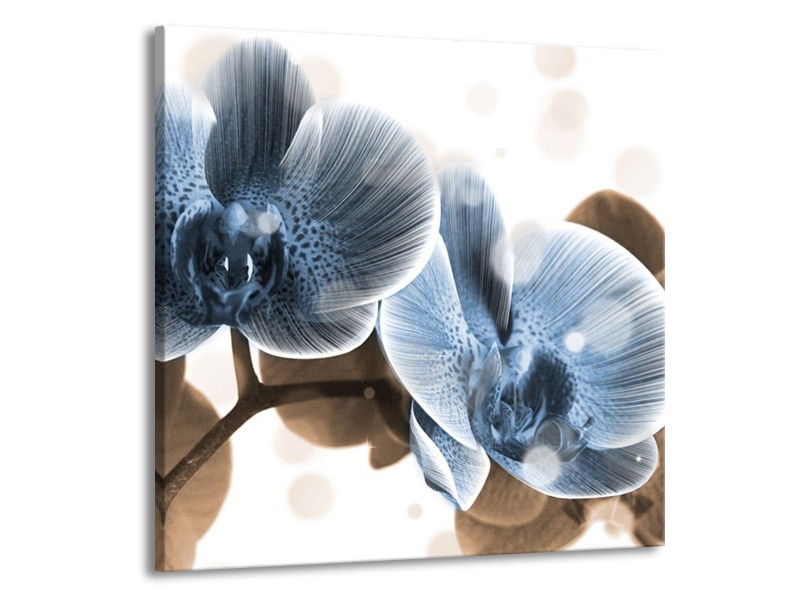 Canvas schilderij Orchidee | Blauw, Grijs | 70x70cm 1Luik