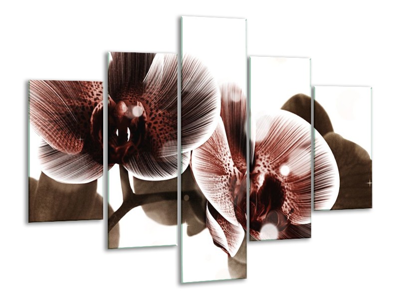 Canvas schilderij Orchidee | Bruin, Wit | 100x70cm 5Luik