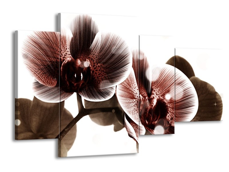 Canvas schilderij Orchidee | Bruin, Wit | 120x75cm 4Luik