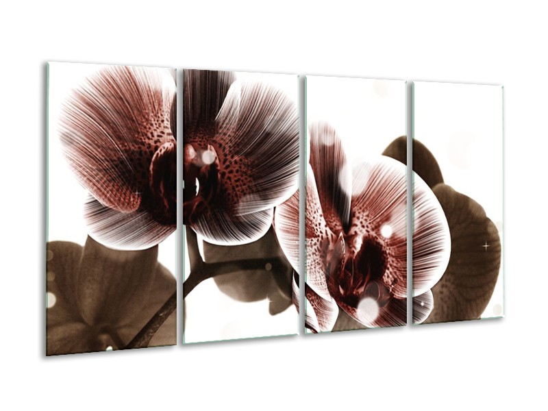 Canvas schilderij Orchidee | Bruin, Wit | 160x80cm 4Luik