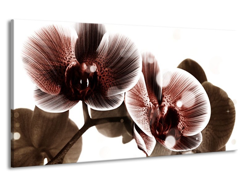 Canvas schilderij Orchidee | Bruin, Wit | 190x100cm 1Luik