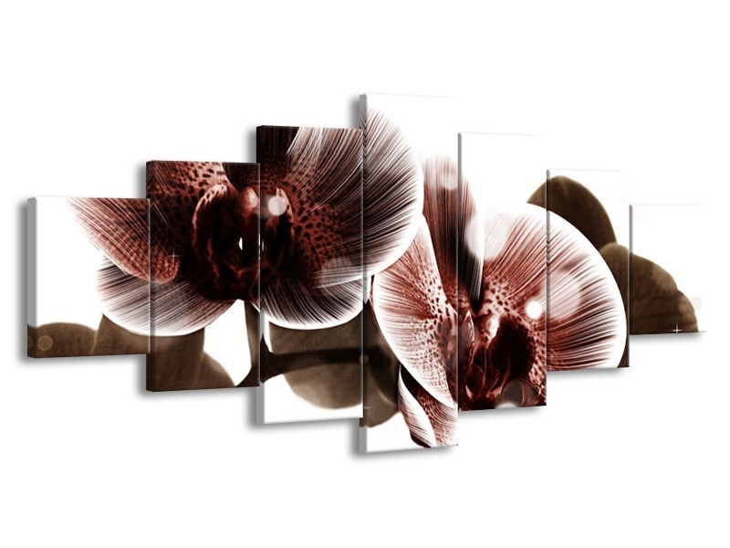 Canvas schilderij Orchidee | Bruin, Wit | 210x100cm 7Luik