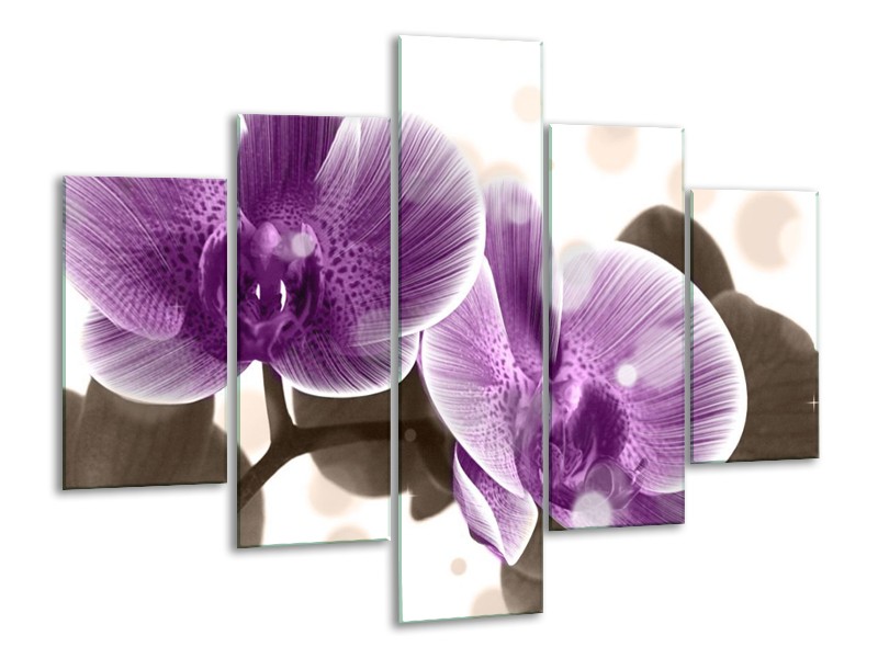 Canvas schilderij Orchidee | Paars, Wit | 100x70cm 5Luik