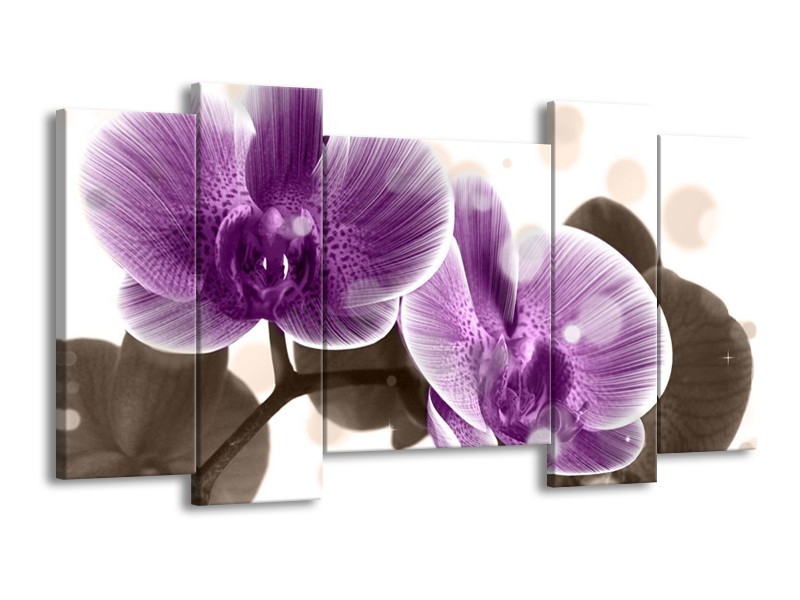 Canvas schilderij Orchidee | Paars, Wit | 120x65 5Luik