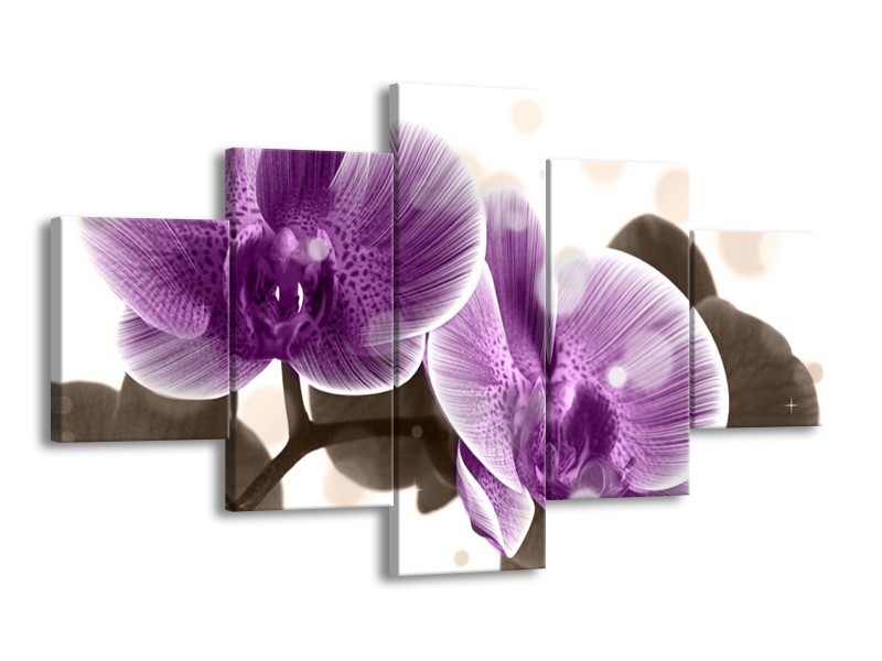 Canvas schilderij Orchidee | Paars, Wit | 125x70cm 5Luik