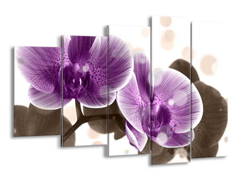 Canvas schilderij Orchidee | Paars, Wit | 150x100cm 5Luik