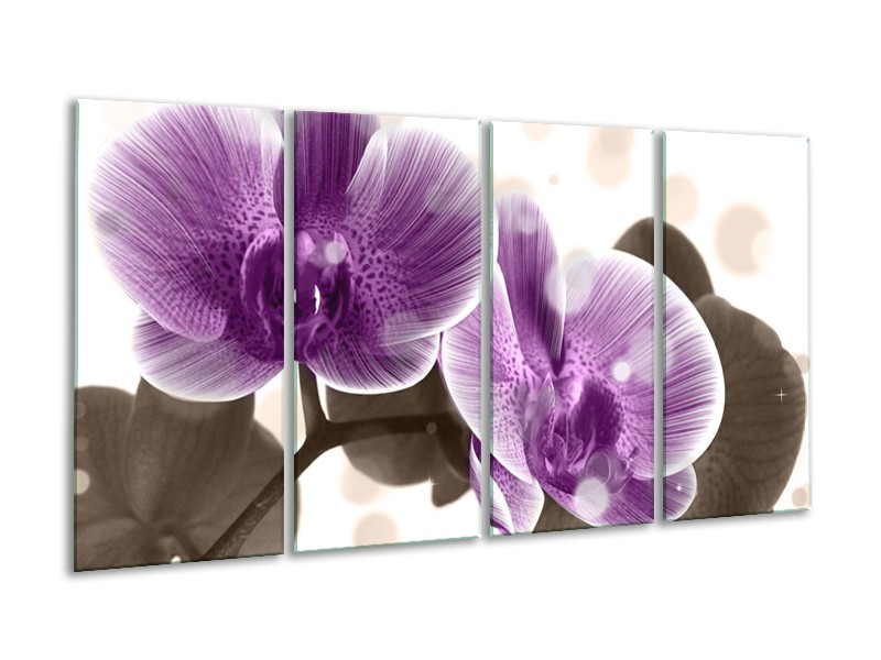 Canvas schilderij Orchidee | Paars, Wit | 160x80cm 4Luik