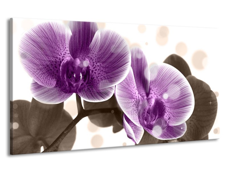 Canvas schilderij Orchidee | Paars, Wit | 190x100cm 1Luik