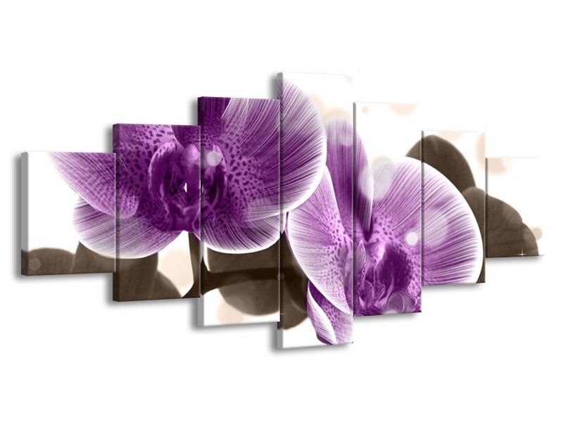 Canvas schilderij Orchidee | Paars, Wit | 210x100cm 7Luik