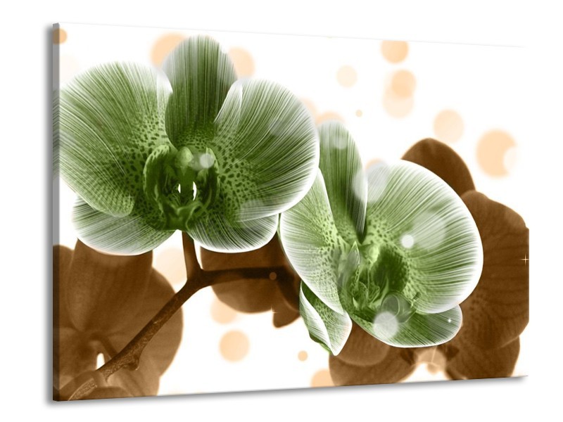 Canvas schilderij Orchidee | Groen, Bruin | 100x70cm 1Luik
