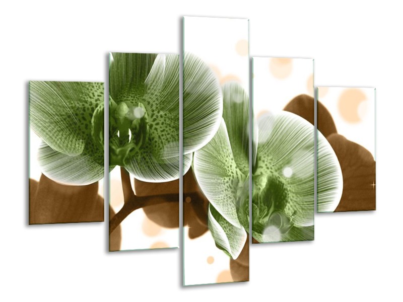 Canvas schilderij Orchidee | Groen, Bruin | 100x70cm 5Luik