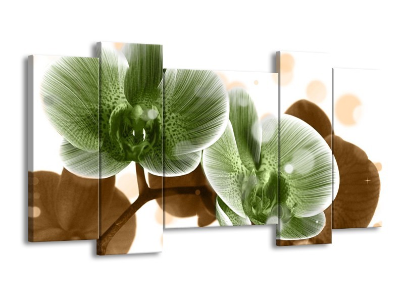 Canvas schilderij Orchidee | Groen, Bruin | 120x65 5Luik