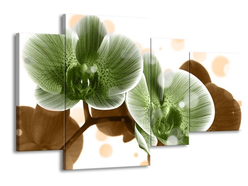 Canvas schilderij Orchidee | Groen, Bruin | 120x75cm 4Luik