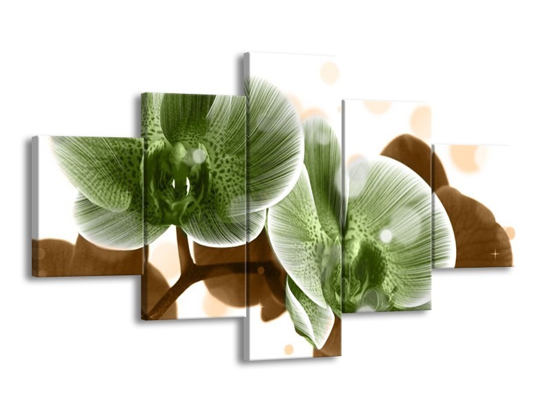 Canvas schilderij Orchidee | Groen, Bruin | 125x70cm 5Luik