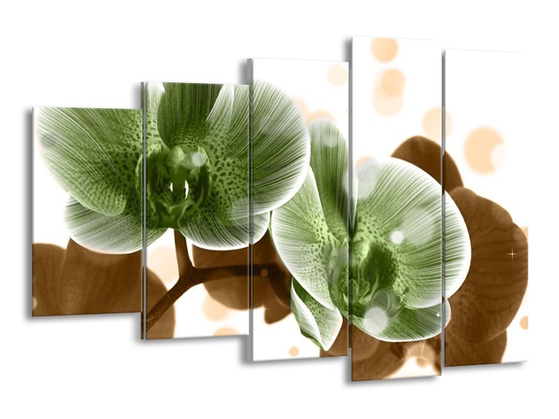 Canvas schilderij Orchidee | Groen, Bruin | 150x100cm 5Luik