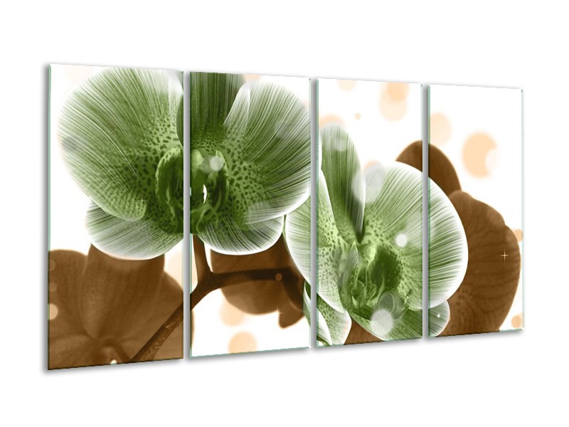 Canvas schilderij Orchidee | Groen, Bruin | 160x80cm 4Luik
