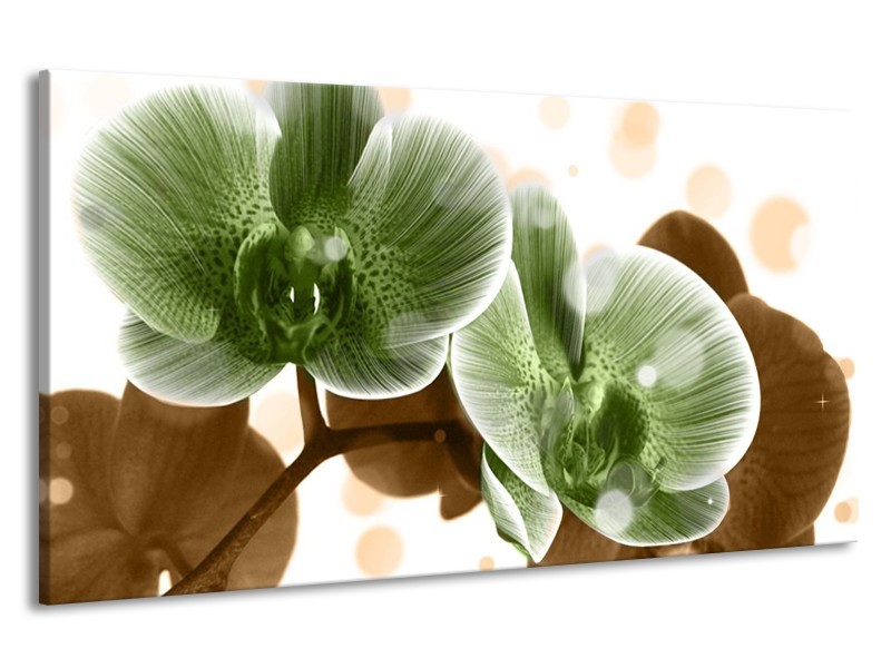 Canvas schilderij Orchidee | Groen, Bruin | 190x100cm 1Luik
