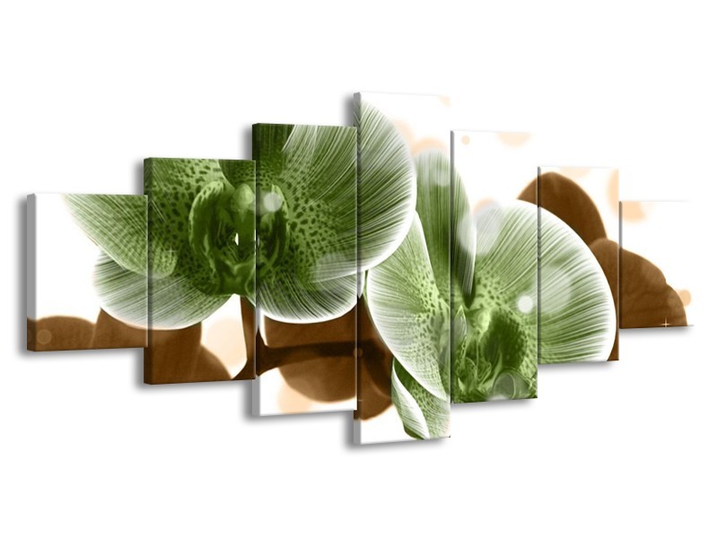 Canvas schilderij Orchidee | Groen, Bruin | 210x100cm 7Luik
