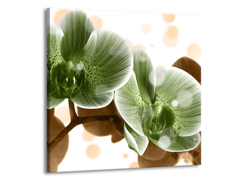 Canvas schilderij Orchidee | Groen, Bruin | 50x50cm 1Luik