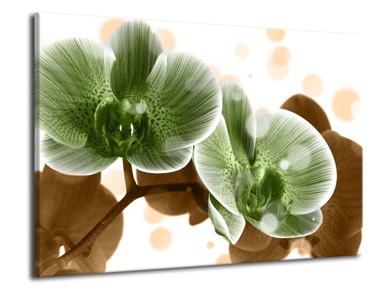 Canvas schilderij Orchidee | Groen, Bruin | 70x50cm 1Luik