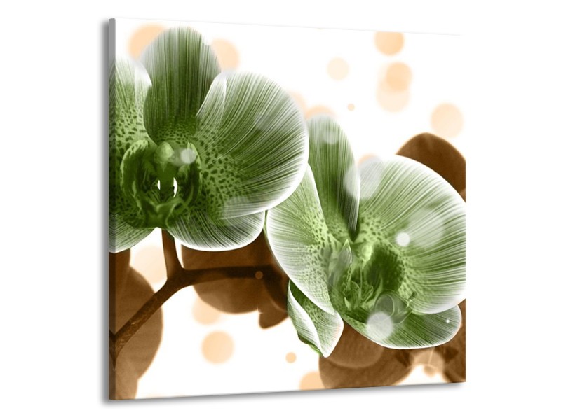 Canvas schilderij Orchidee | Groen, Bruin | 70x70cm 1Luik