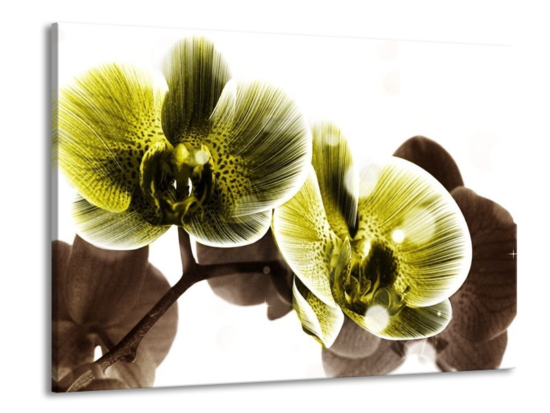 Canvas schilderij Orchidee | Geel, Grijs | 100x70cm 1Luik