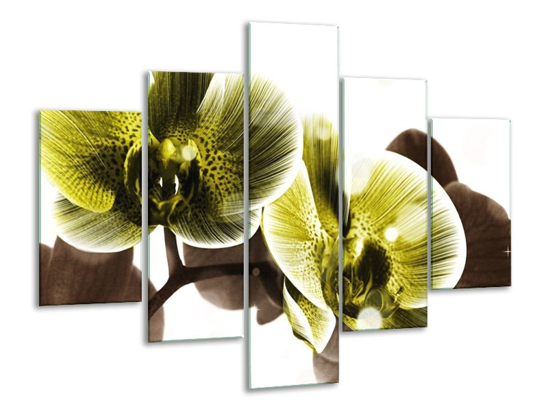 Canvas schilderij Orchidee | Geel, Grijs | 100x70cm 5Luik